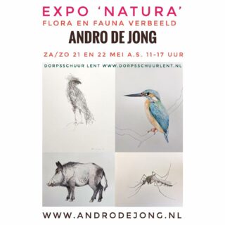 EXPO ‘NATURA’, za/zo 21 en 22 mei a.s. 11-17 uur, tekeningen schilderingen en meer uit de natuur. Ben je verhinderd? Een week later 28 en 29 mei open ik mijn atelier aan de Vrouwe Udasingel in Lent samen met vijf andere collega kunstenaar, bericht daarover volgt. Wees welkom! www.androdejong.nl www.dorpsschuurlent.nl #expo #expositie #tentoonstelling #tekeningen #natuurkunst #illustraties #illustrator #dorpsschuurlent #lent #nijmegen #nijmegenhotspots #nijmegenexposities #androdejongart #natureart #natuurliefde #ivn #ivn_natuurliefhebbers