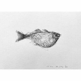 Fish, ink on paper, 10 x 15 cm #fish #fishdrawing #inkdrawing #inkttekening #tekenkunst #zwartwittekening #artonpaper #artfish