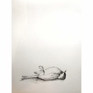 Dead bird/dood vogeltje 50 x 65 cm ink on paper/inkt op papier #deadbird #deadbirdart #vogel #birdinart #inkonpaperdrawing #inkttekening #inktober52 #tekening #naturedrawing #fogel #oiseau #oiseaumort